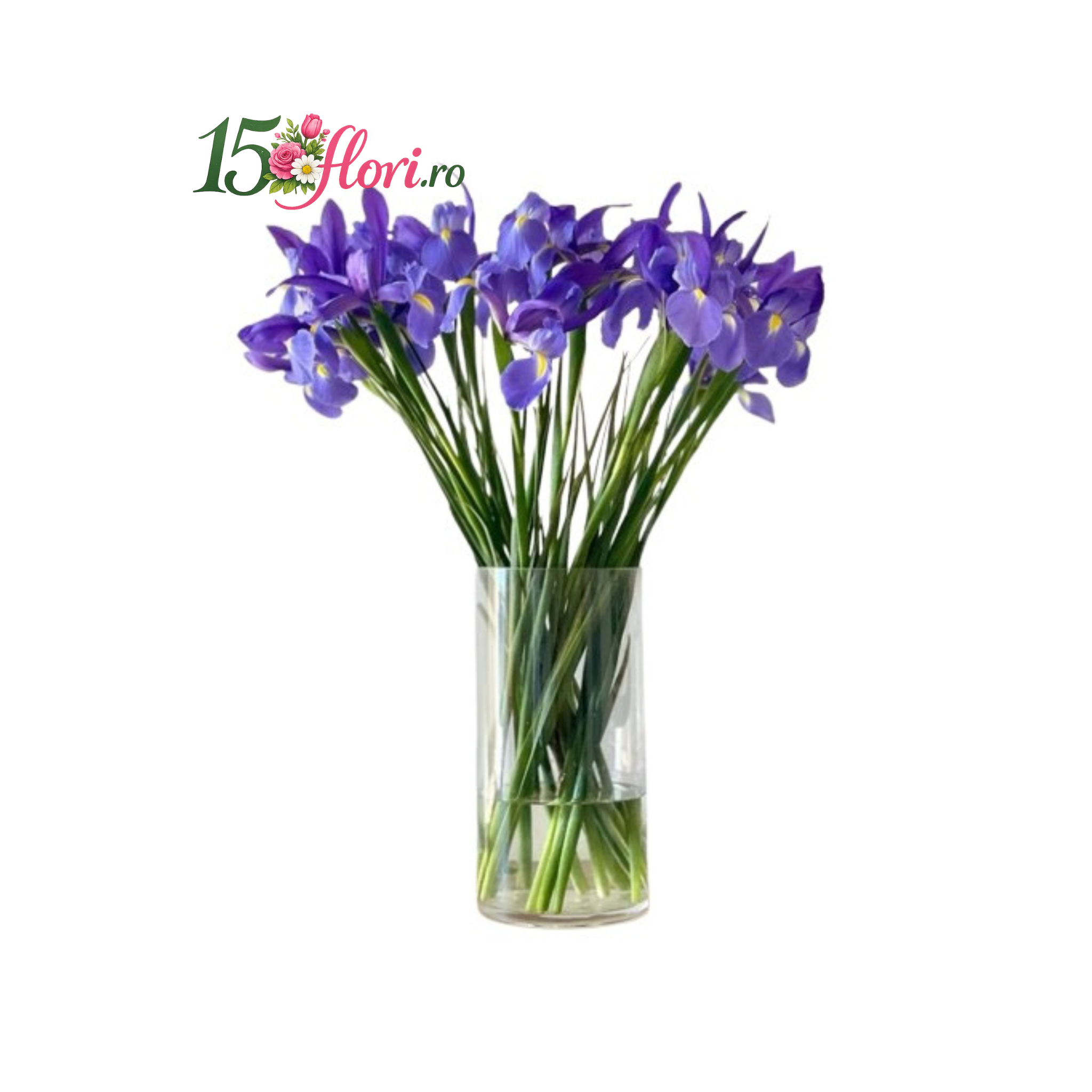 Iris Mov