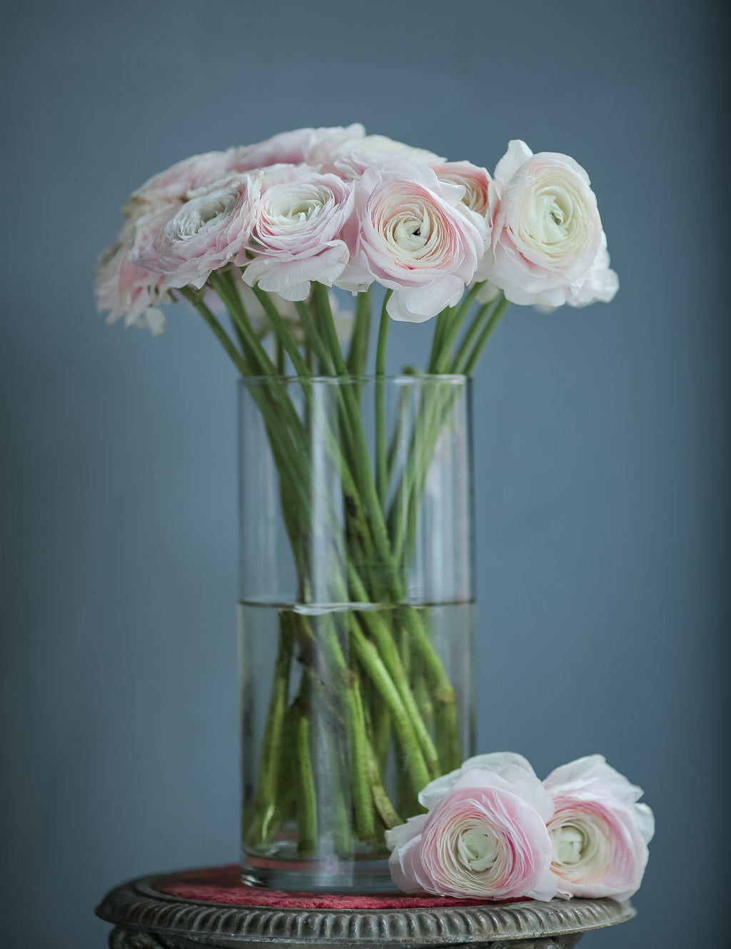 Ranunculus