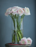 Ranunculus