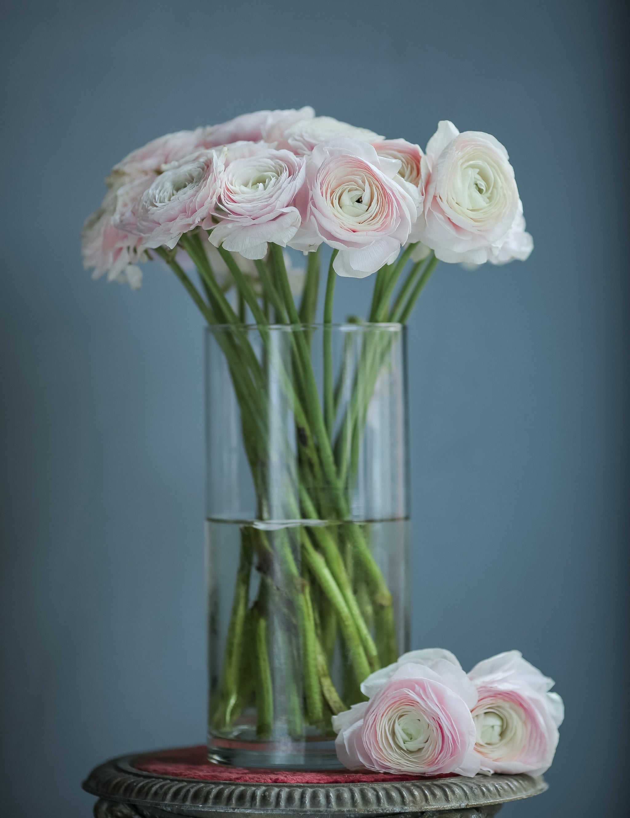 Ranunculus